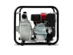 EBERTH Wasserpumpe 5,5PS – Bild 2